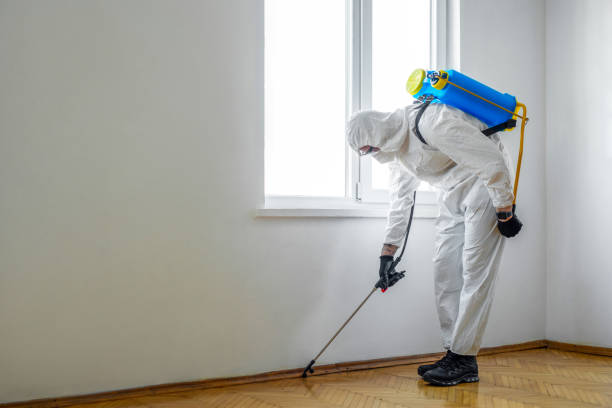 Best Pest Exclusion Services  in Llington, MI